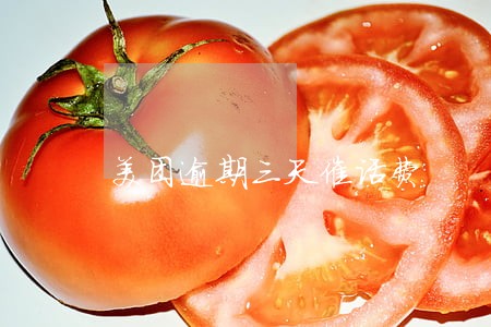美团逾期三天催话费