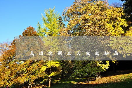 美团逾期三天发通知函 美团逾期三天发通知函
