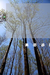 美团逾期三天后果 美团逾期三天后果