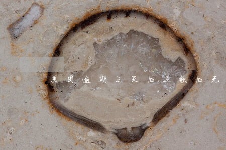 美团逾期三天后还款后无法再借 美团逾期三天后还款后无法再借