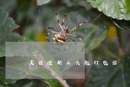 美团逾期三天就打电话 美团逾期三天就打电话