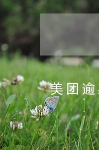 美团逾期三天怎么老短信提醒了 美团逾期三天怎么老短信提醒了
