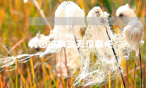 美团逾期三天没事吧 美团逾期三天没事吧