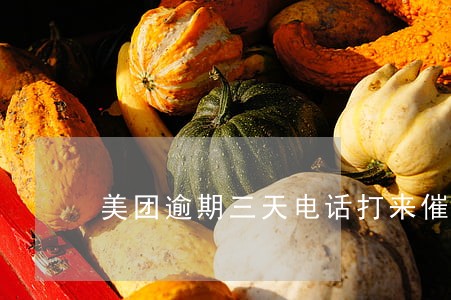美团逾期三天电话打来催 美团逾期三天电话打来催