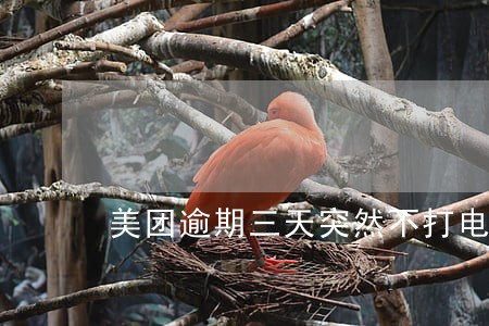 美团逾期三天突然不打电话了 美团逾期三天突然不打电话了