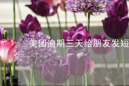 美团逾期三天给朋友发短信 美团逾期三天给朋友发短信