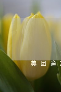美团逾期三天要还全额 美团逾期三天要还全额