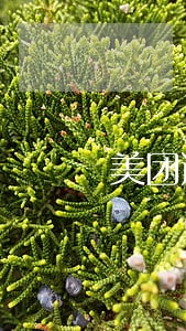 美团逾期三天诉讼是真的吗 美团逾期三天诉讼是真的吗