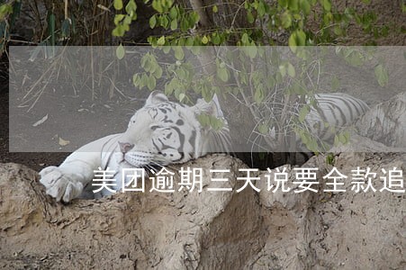 美团逾期三天说要全款追会 美团逾期三天说要全款追会