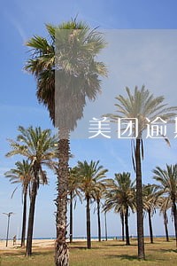 美团逾期三天说要备案是真的吗 美团逾期三天说要备案是真的吗