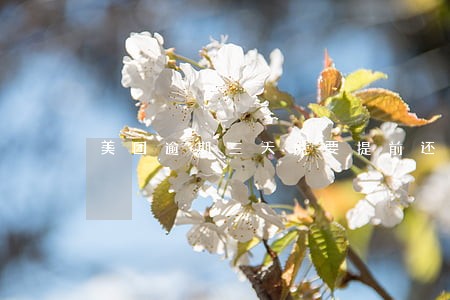 美团逾期三天说要提前还款怎么办 美团逾期三天说要提前还款怎么办