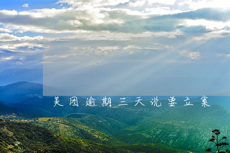 美团逾期三天说要立案 美团逾期三天说要立案