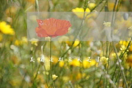 美团逾期三天还了 美团逾期三天还了