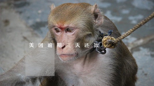 美团逾期三天还款 美团逾期三天还款