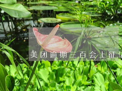 美团逾期三百会上征信吗 美团逾期三百会上征信吗
