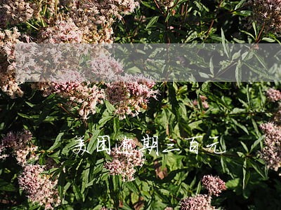 美团逾期三百元 美团逾期三百元