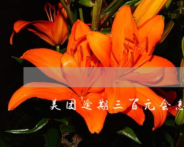 美团逾期三百元会怎样 美团逾期三百元会怎样