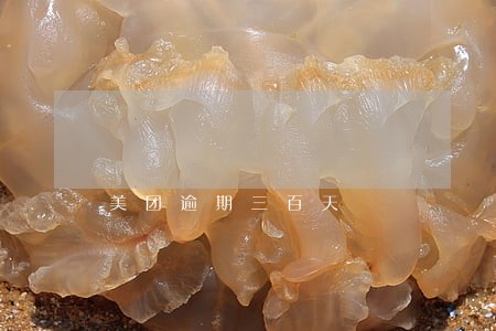 美团逾期三百天 美团逾期三百天