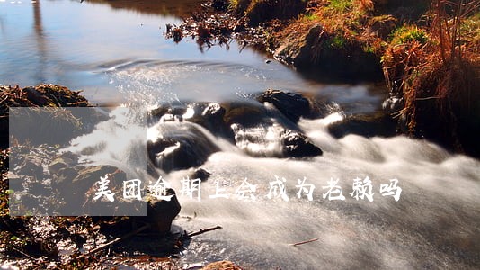美团逾期上会成为老赖吗 美团逾期上会成为老赖吗