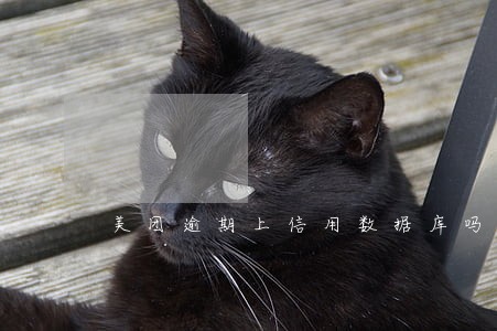 美团逾期上信用数据库吗 美团逾期上信用数据库吗