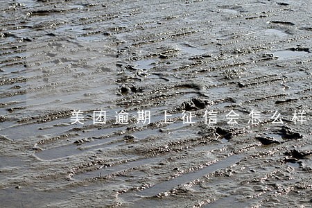 美团逾期上征信会怎么样 美团逾期上征信会怎么样