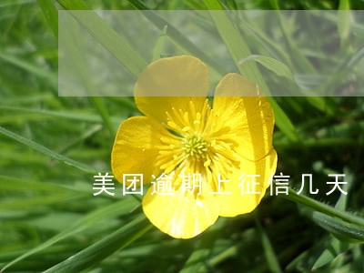 美团逾期上征信几天 美团逾期上征信几天