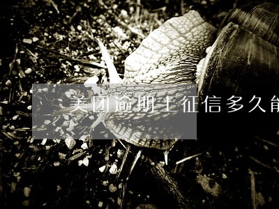 美团逾期上征信多久能撤销 美团逾期上征信多久能撤销