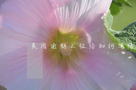 美团逾期上征信如何消除 美团逾期上征信如何消除