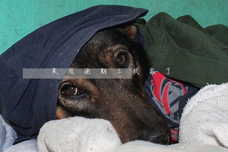 美团逾期上我家了 美团逾期上我家了