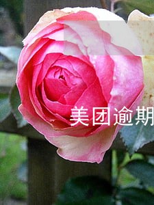 美团逾期上报征信能取消吗 美团逾期上报征信能取消吗
