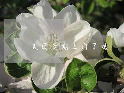 美团逾期上门了吗 美团逾期上门了吗