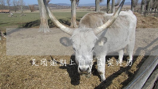 美团逾期上门了真实经历