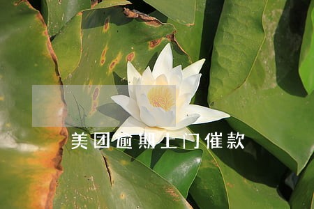 美团逾期上门催款