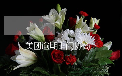 美团逾期上门协商