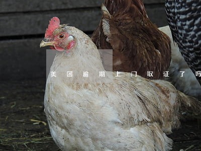 美团逾期上门取证了吗