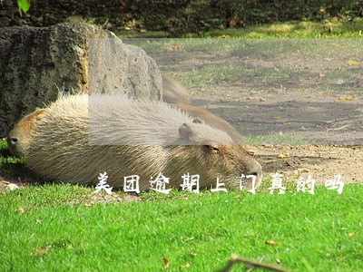 美团逾期上门真的吗