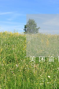 美团逾期上门要身份证签合同