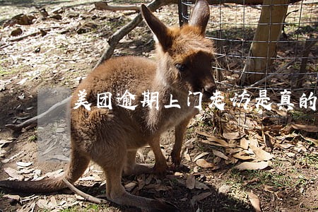 美团逾期上门走访是真的