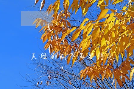 美团逾期不再发信息 美团逾期不再发信息