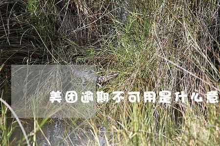 美团逾期不可用是什么意思 美团逾期不可用是什么意思