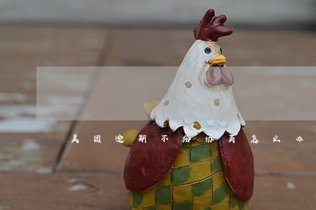 美团逾期不给协商怎么办