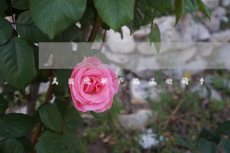 美团逾期不能注册骑手 美团逾期不能注册骑手