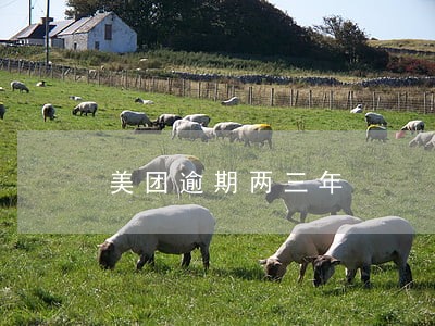 美团逾期两三年 美团逾期两三年