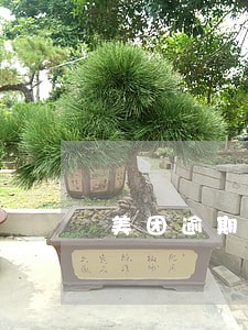美团逾期两个月发律师函 美团逾期两个月发律师函
