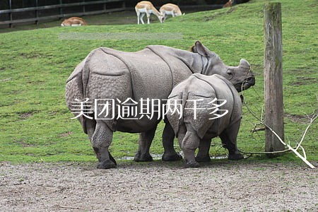 美团逾期两千多 美团逾期两千多