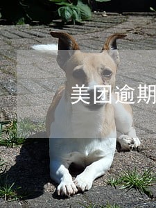 美团逾期两天上不了征信吧 美团逾期两天上不了征信吧