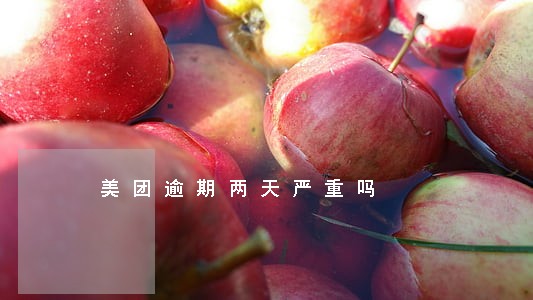美团逾期两天严重吗 美团逾期两天严重吗