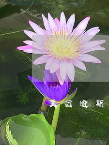 美团逾期两天会不会打联系人电话 美团逾期两天会不会打联系人电话