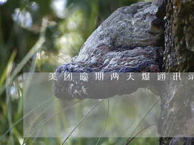 美团逾期两天爆通讯录吗 美团逾期两天爆通讯录吗