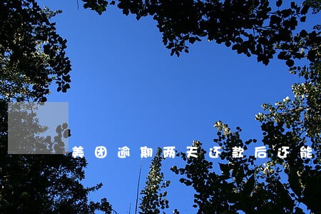 美团逾期两天还款后还能用吗 美团逾期两天还款后还能用吗